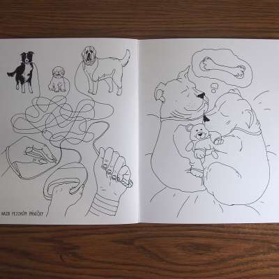 Coloring Book for The Animal Shelter